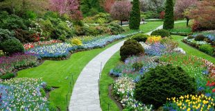 How to find a Landscape Designer Or Landscaping Company and Help You Save Time & Money