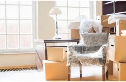 Easy Steps On Moving Your Fish Tank To Another Home