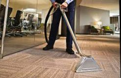 Reliable, High-Quality Carpet Cleaning Services in Brisbane