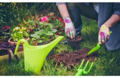 House Painting Services in Denver: Everything You Need to Know