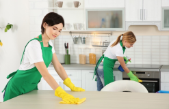“Eco-Friendly House Cleaning: Services and Tips”