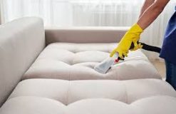The Ultimate Guide to Upholstery Cleaning