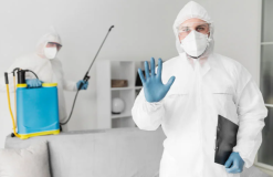 Discover the Best Pest Control Services in Latham NY