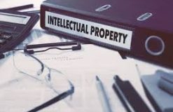 Protect Your Innovations with Expert Patent Lawyer Services for Strong Intellectual Property Security
